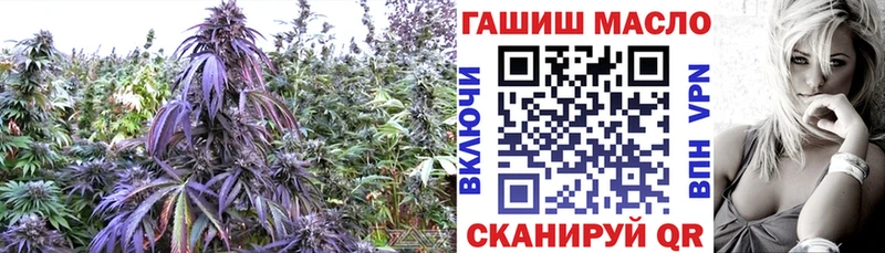 дарнет шоп  Ханты-Мансийск  мориарти официальный сайт  Дистиллят ТГК жижа 