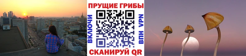 Псилоцибиновые грибы мухоморы  Ханты-Мансийск 